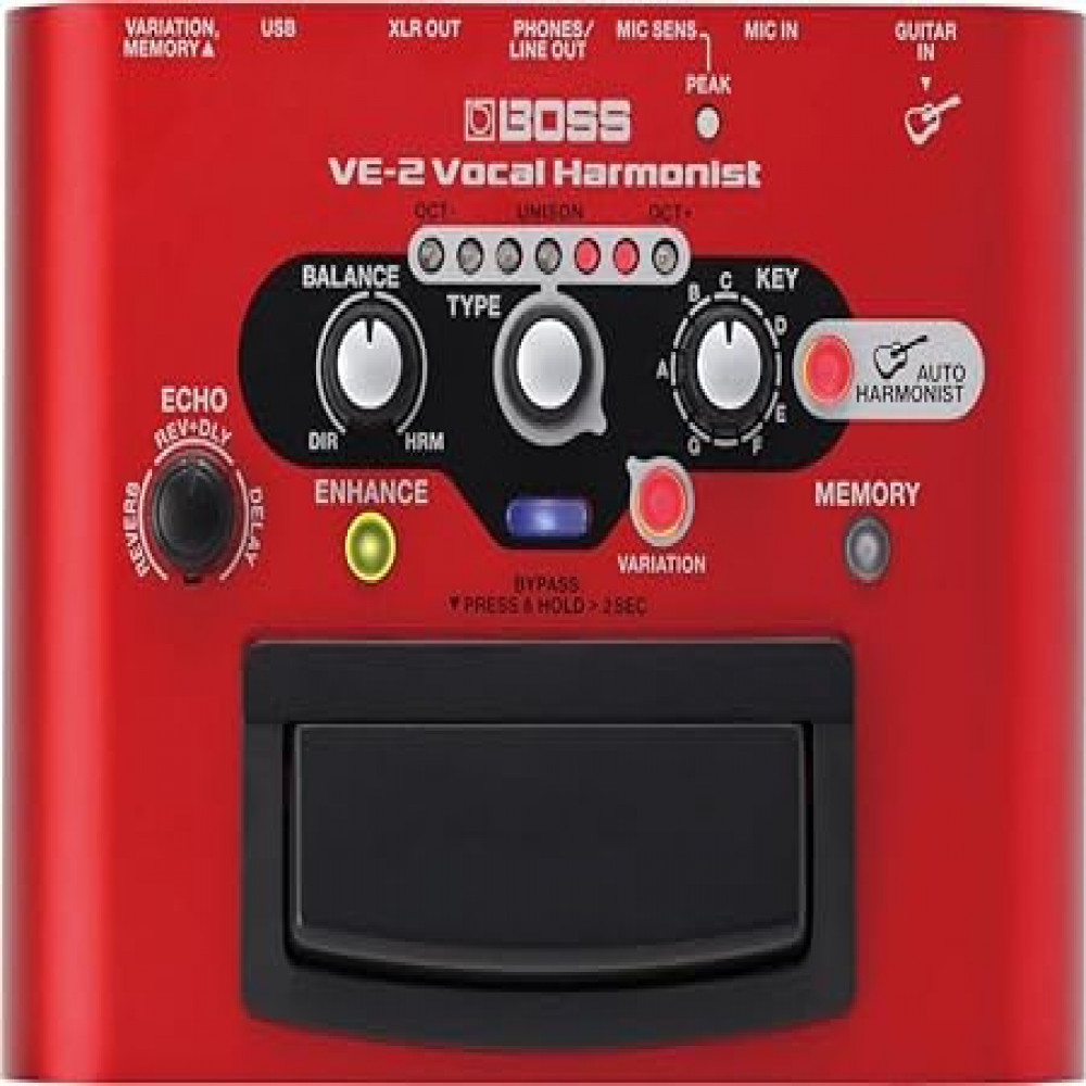 Roland VE-2 Vocal Processor Multi-Colored
