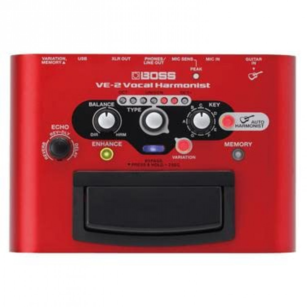 Roland VE-2 Vocal Processor Multi-Colored