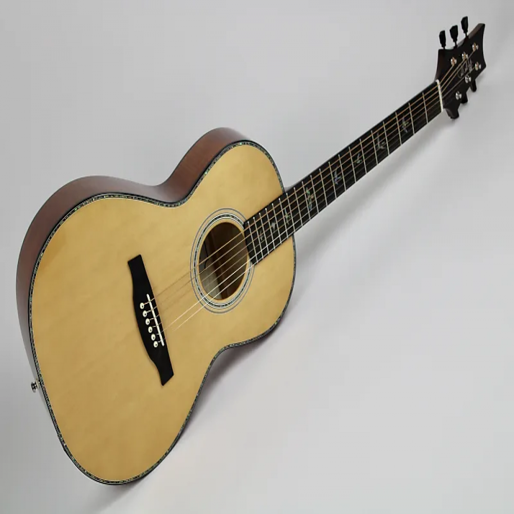 PRS SE PPE50BG P50E Parlour Sized Black Gold Acoustic Guitar