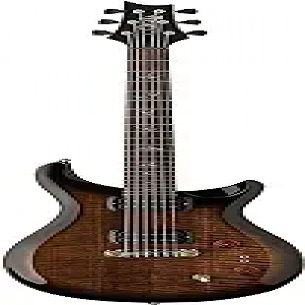 PRS PGBG SE Paul's Black Gold Sunburst Electric Guitar
