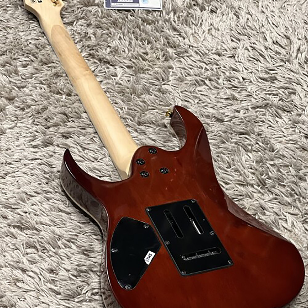 Ibanez GRG220PA-RLB with Bag in Royal Purple Burst Electric Guitar