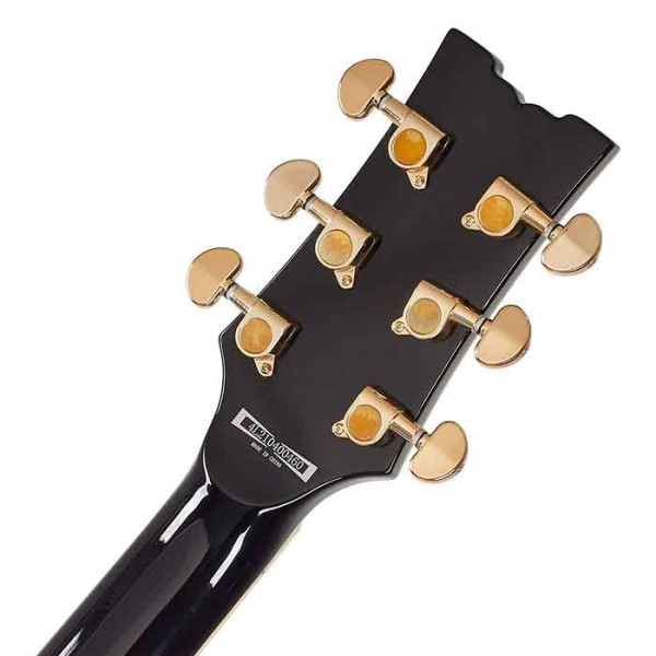 Ibanez AR325QA-DBS AR Standard 6 Strings in Dark Brown Sunburst with Gig Bag Electric Guitar