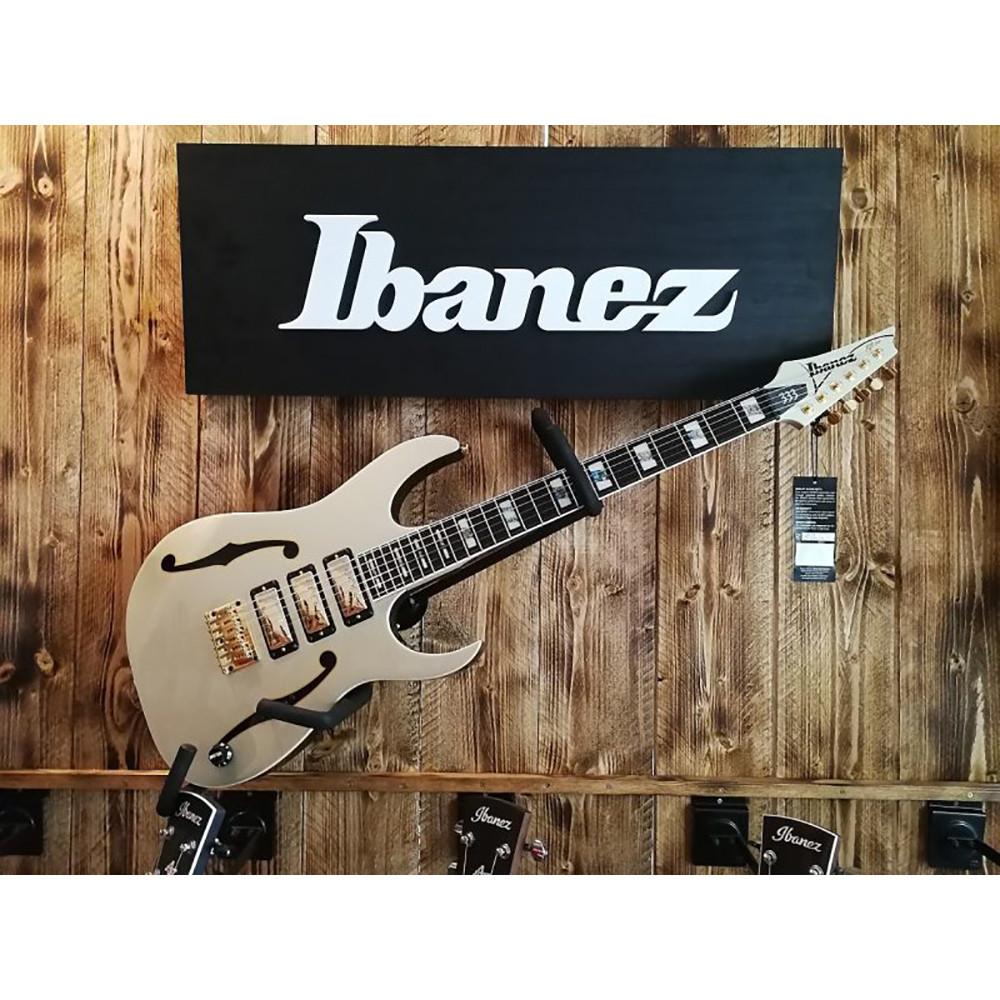 Ibanez PGM333 PGM Series 6-String with Case Electric Guitar