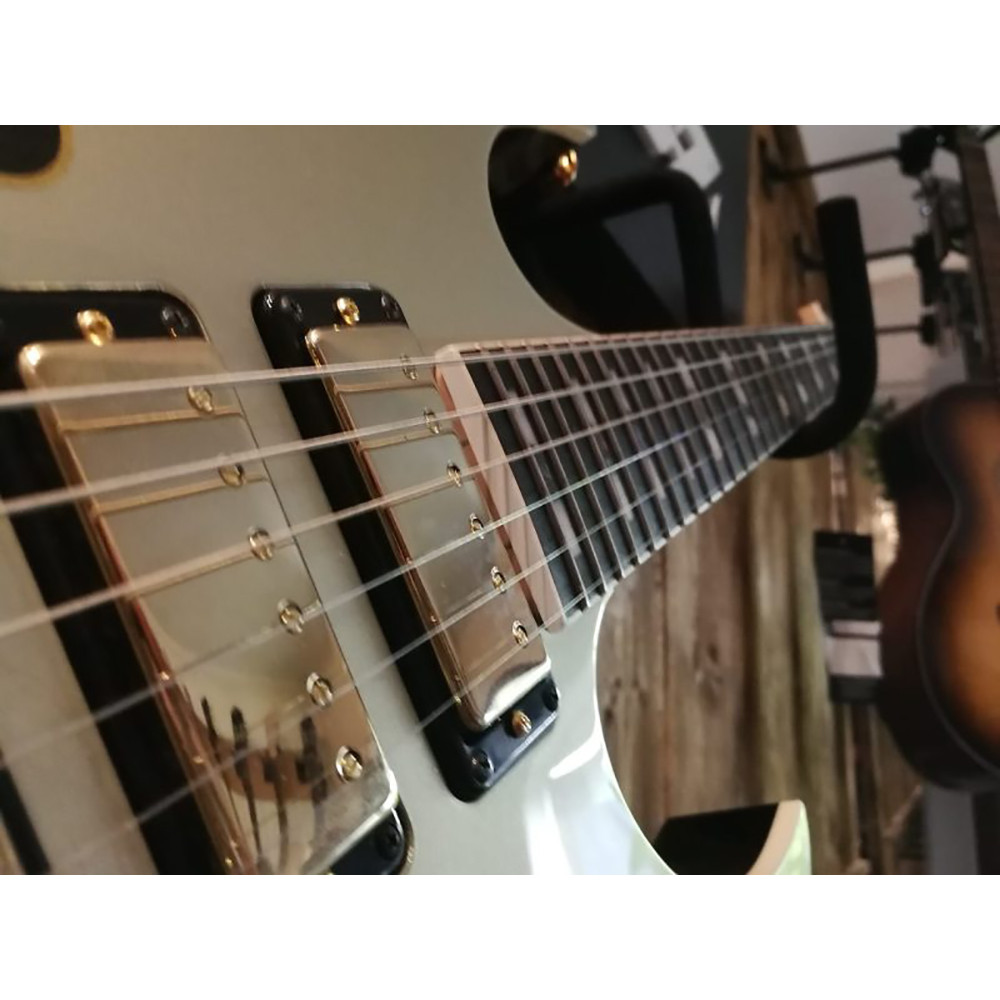 Ibanez PGM333 PGM Series 6-String with Case Electric Guitar