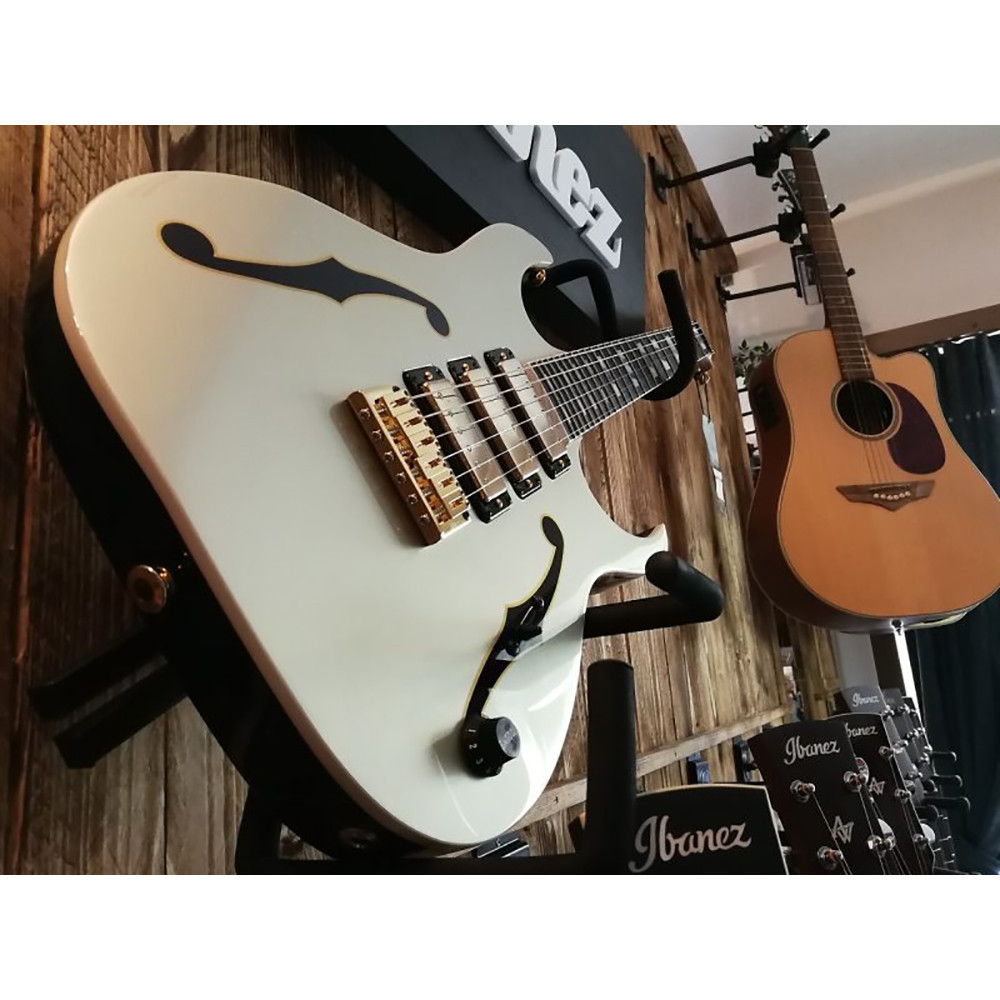 Ibanez PGM333 PGM Series 6-String with Case Electric Guitar