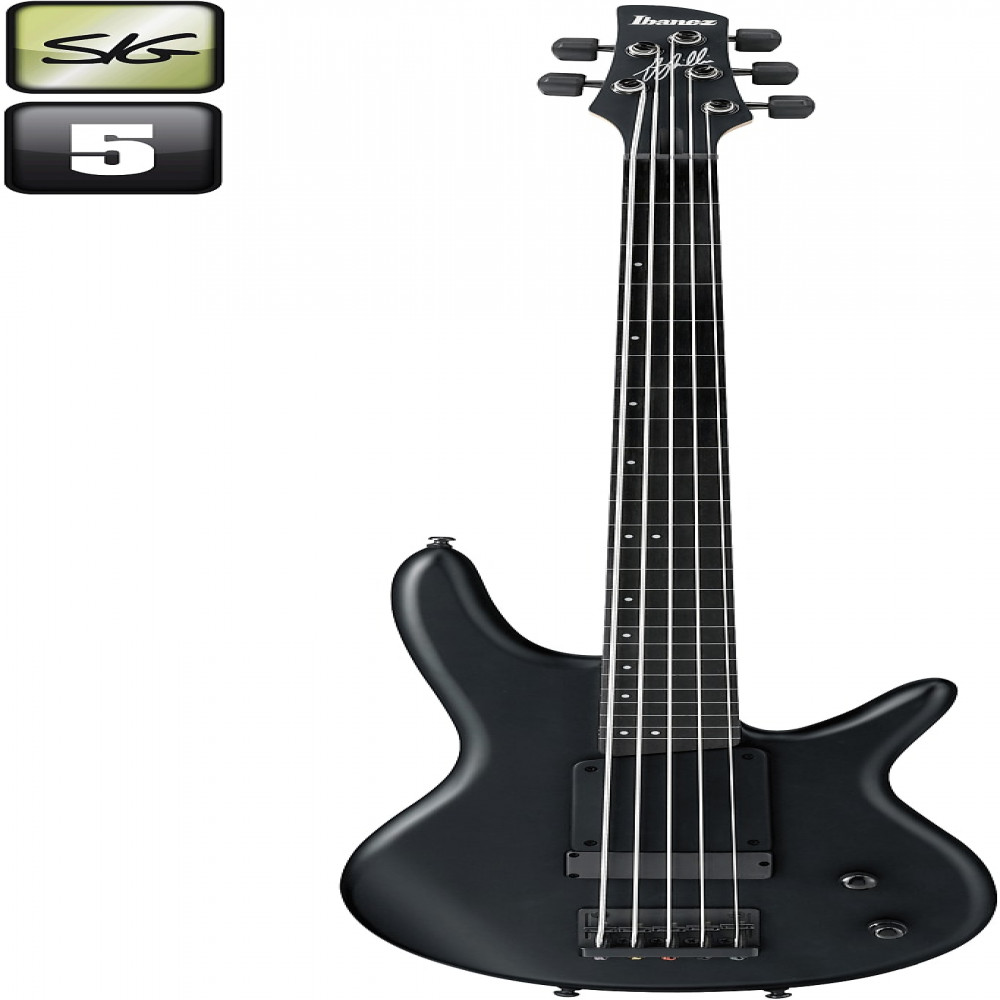 Ibanez GWB35-BKF GWB Signature Series Electric Black Flat Bass Guitar