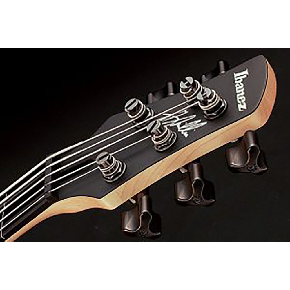 Ibanez GWB35-BKF GWB Signature Series Electric Black Flat Bass Guitar
