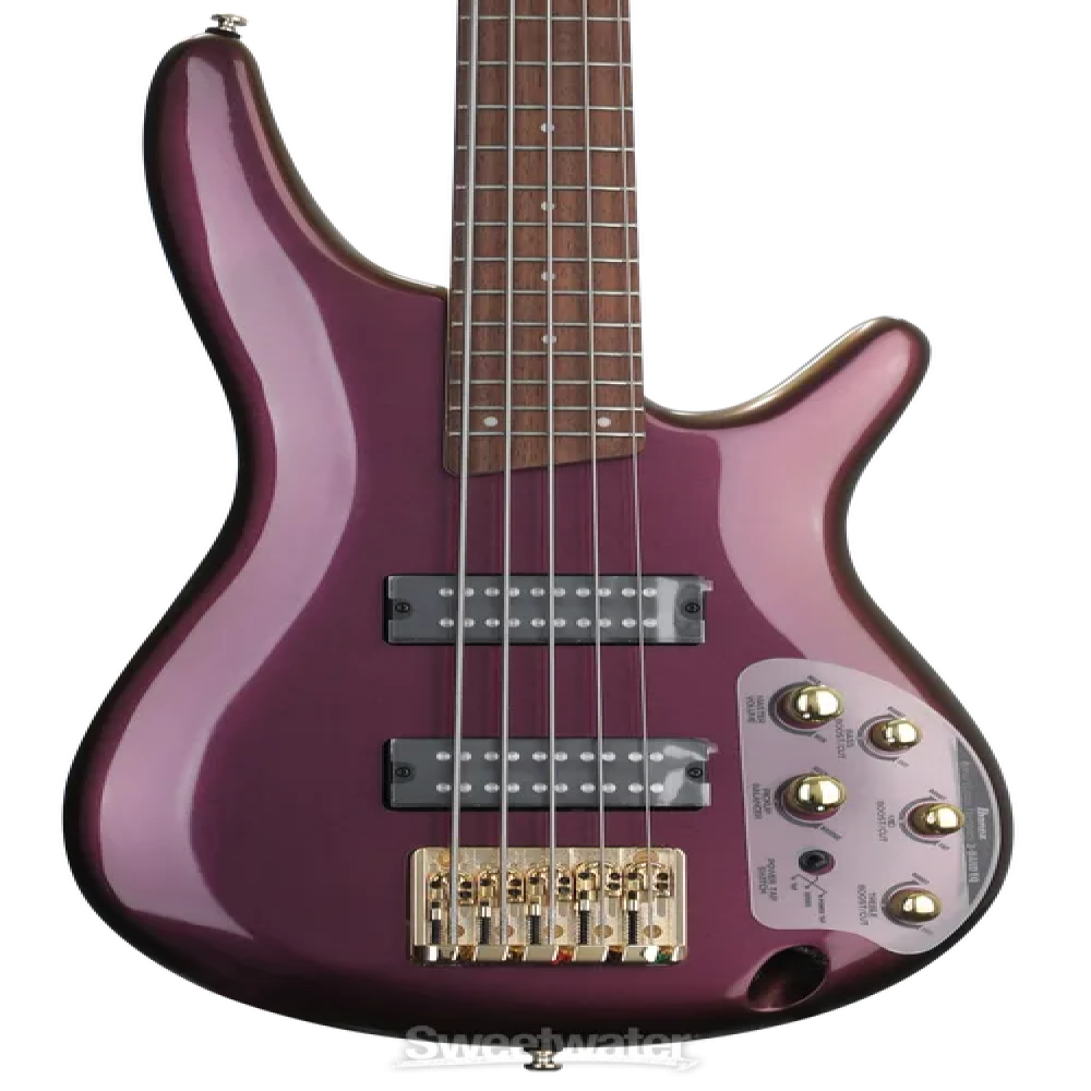 Ibanez SR305EDX-RGC SR series Standard 5 string Bass Guitar
