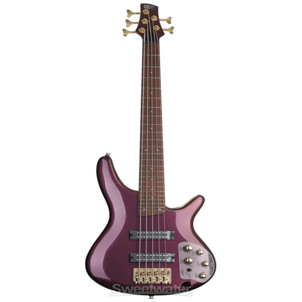 Ibanez SR305EDX-RGC SR series Standard 5 string Bass Guitar