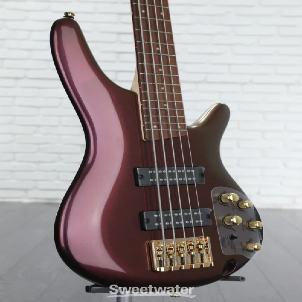 Ibanez SR305EDX-RGC SR series Standard 5 string Bass Guitar