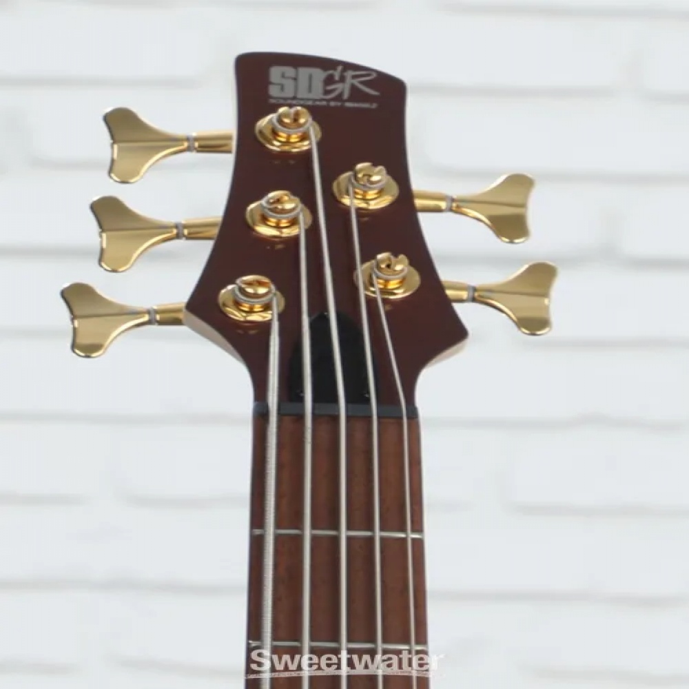Ibanez SR305EDX-RGC SR series Standard 5 string Bass Guitar