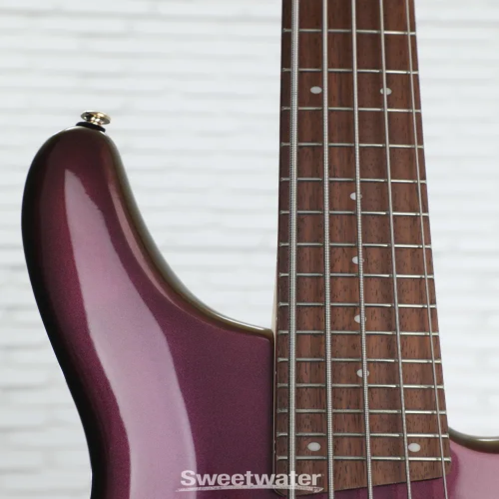 Ibanez SR305EDX-RGC SR series Standard 5 string Bass Guitar