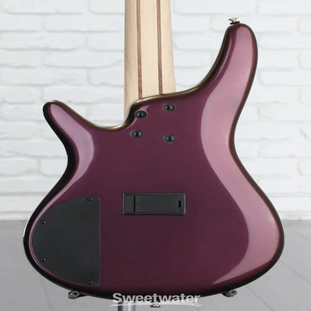 Ibanez SR305EDX-RGC SR series Standard 5 string Bass Guitar