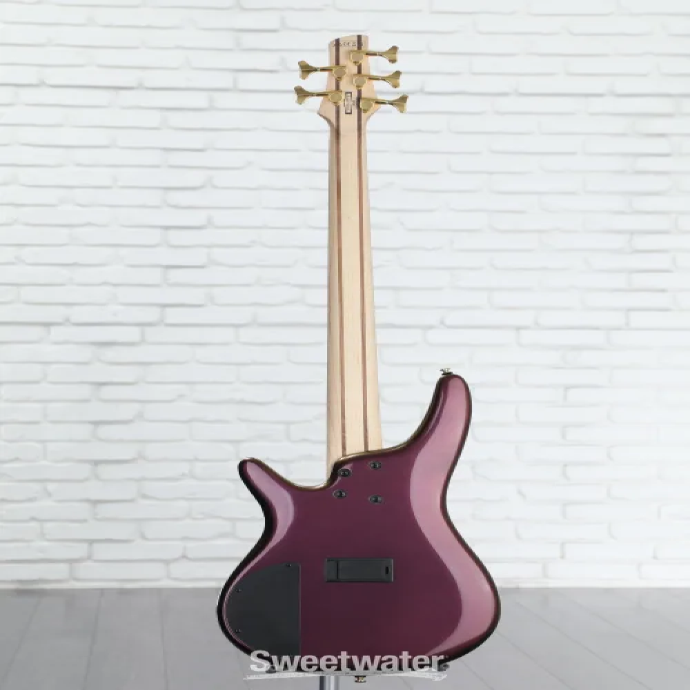 Ibanez SR305EDX-RGC SR series Standard 5 string Bass Guitar