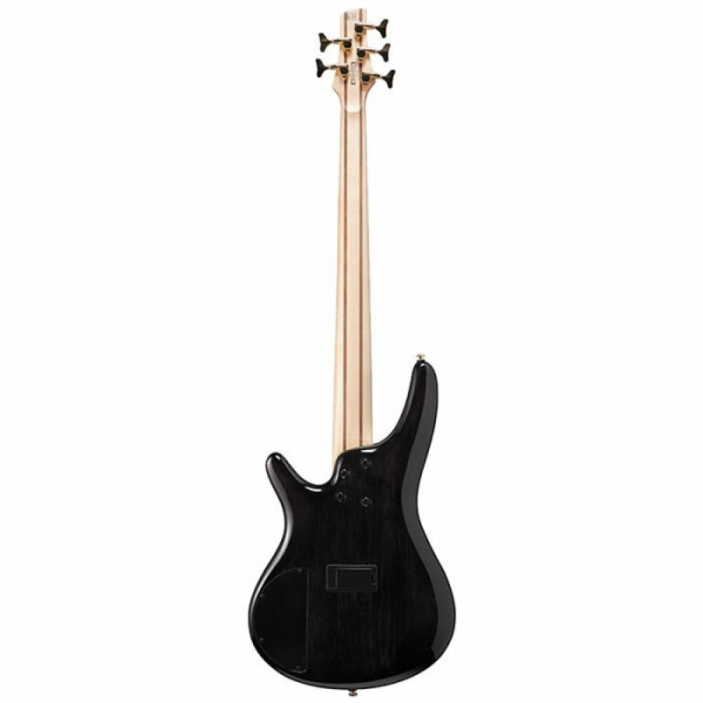 Ibanez SR405EPBDX-TSU 5-String Tropical Seafloor Burst Bass Guitar