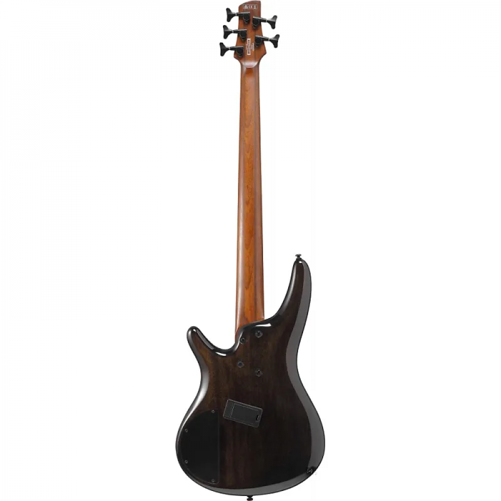 Ibanez SRMS805-TSR 5-String Multi-Scale in Tropical Seafloor Bass Guitar