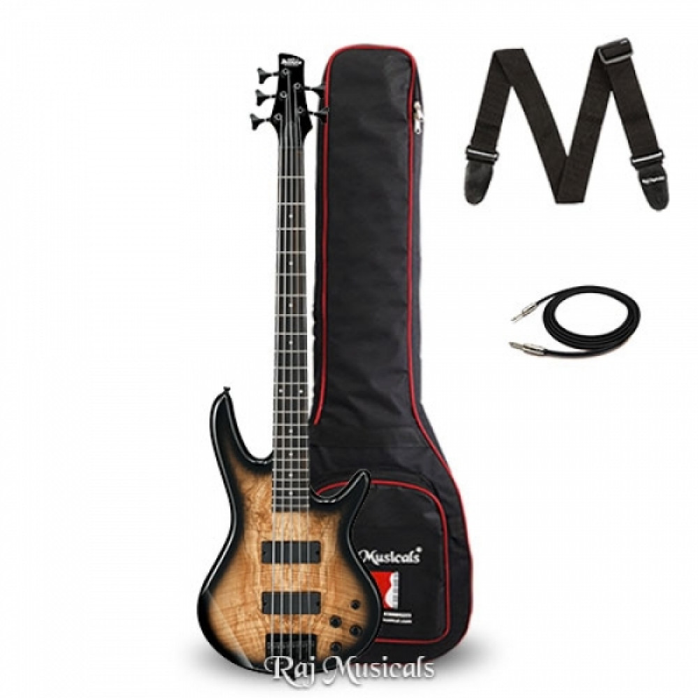 Ibanez GSR205SM-NGT 5-String With Bag Natural Gray Burst Bass Guitar