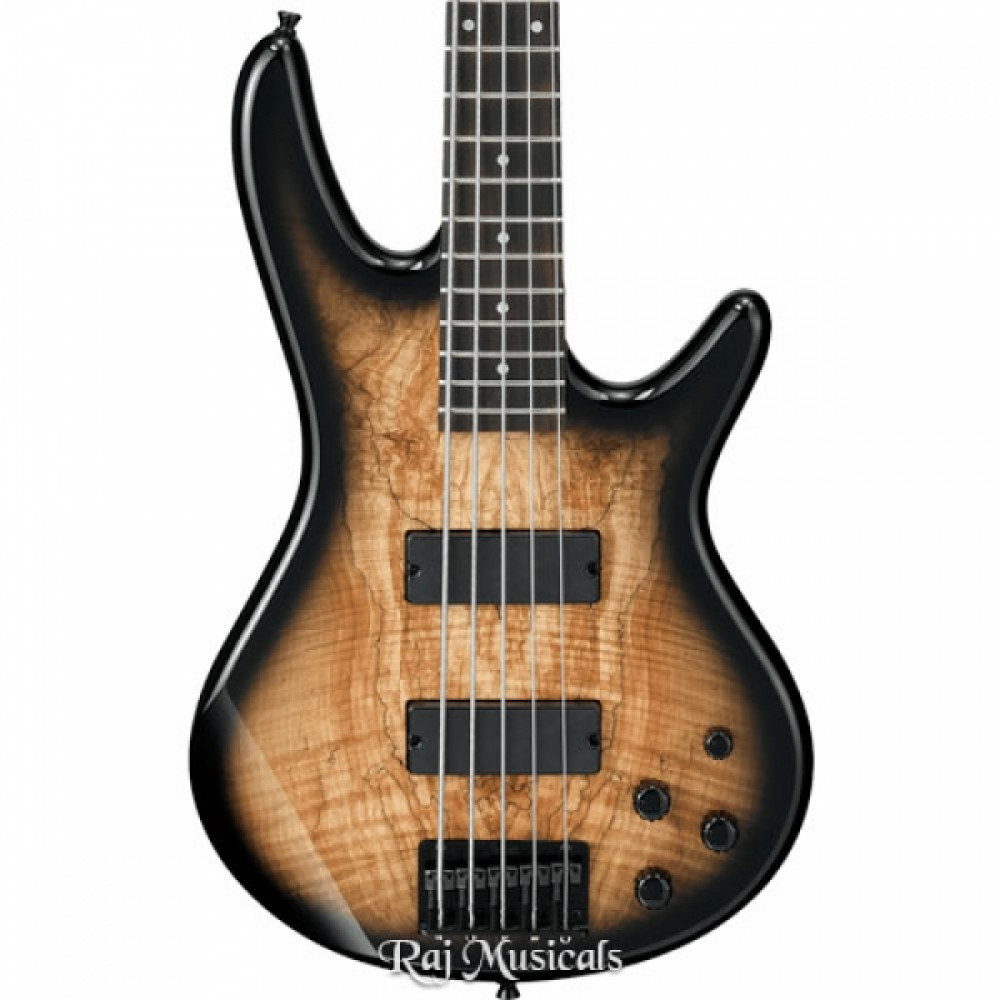 Ibanez GSR205SM-NGT 5-String With Bag Natural Gray Burst Bass Guitar