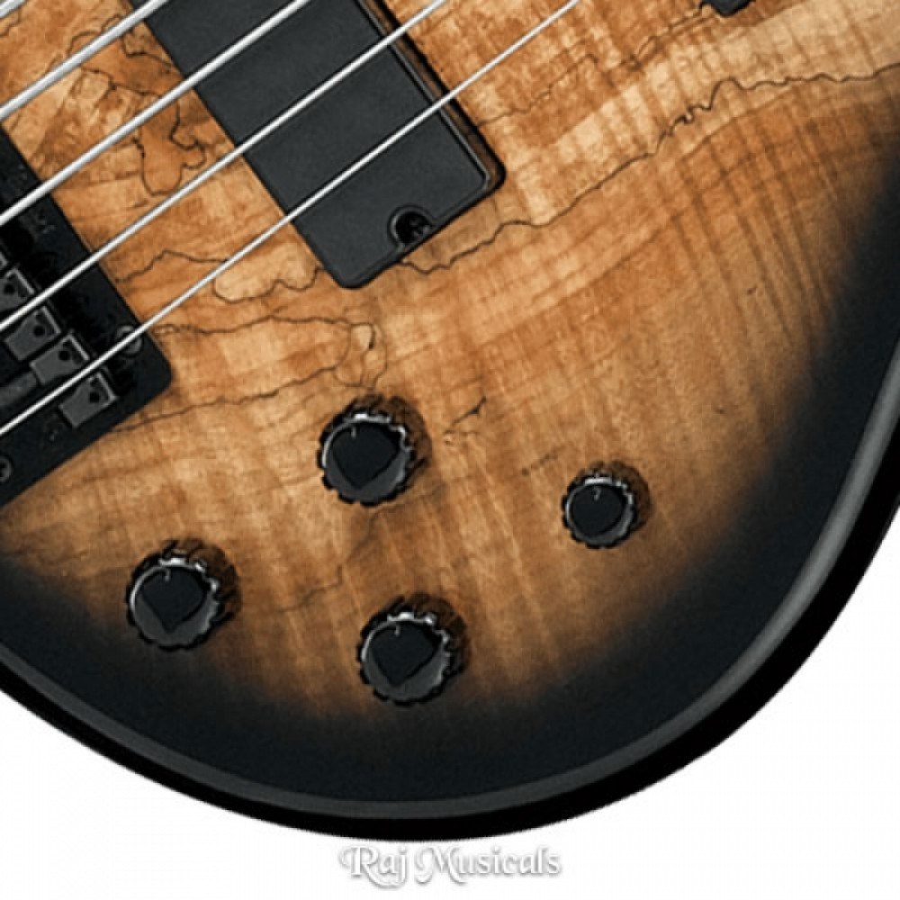 Ibanez GSR205SM-NGT 5-String With Bag Natural Gray Burst Bass Guitar