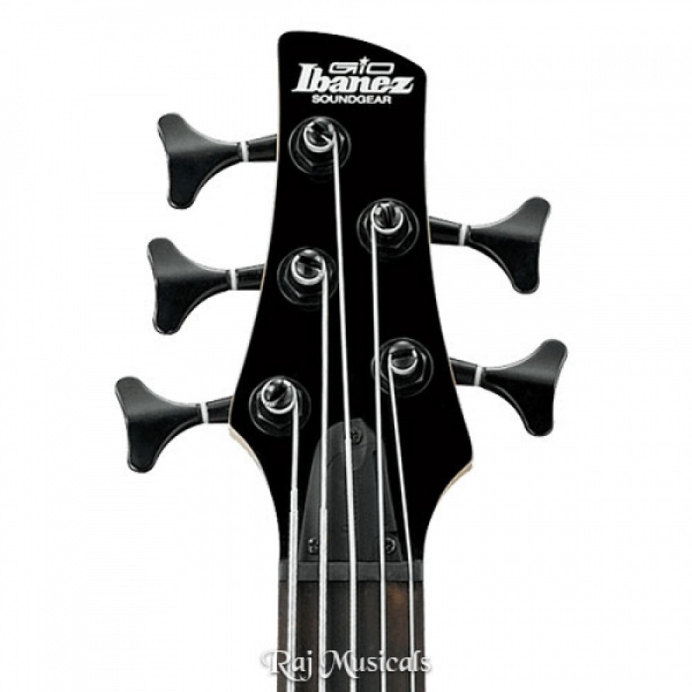 Ibanez GSR205SM-NGT 5-String With Bag Natural Gray Burst Bass Guitar