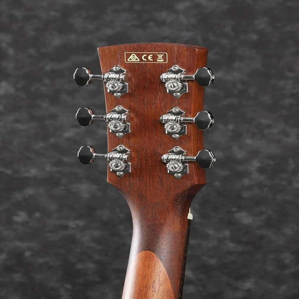 Ibanez PN12MHE-OPN Parlor body Open Pore Natural Acoustic Guitar