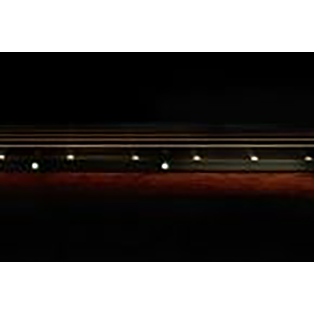 Ibanez AE325-LGS AE Body Natural Low Gloss Acoustic Guitar