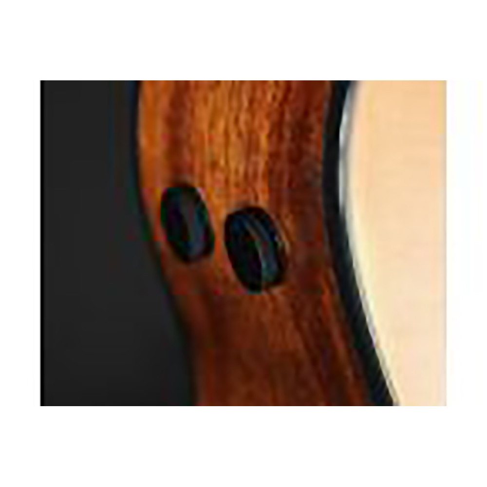 Ibanez AE325-LGS AE Body Natural Low Gloss Acoustic Guitar
