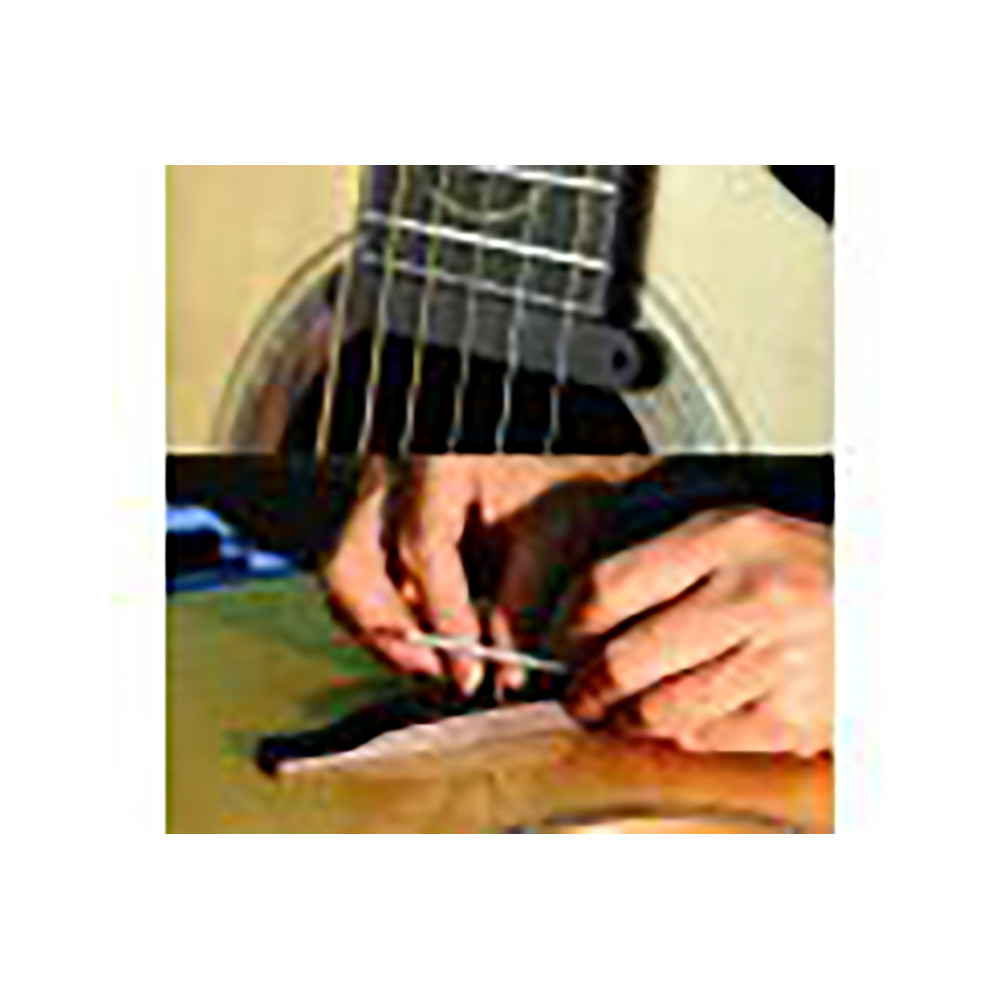 Ibanez AE325-LGS AE Body Natural Low Gloss Acoustic Guitar