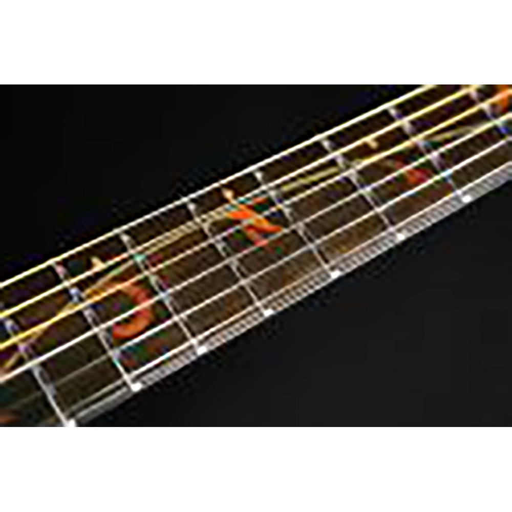 Ibanez AE325-LGS AE Body Natural Low Gloss Acoustic Guitar