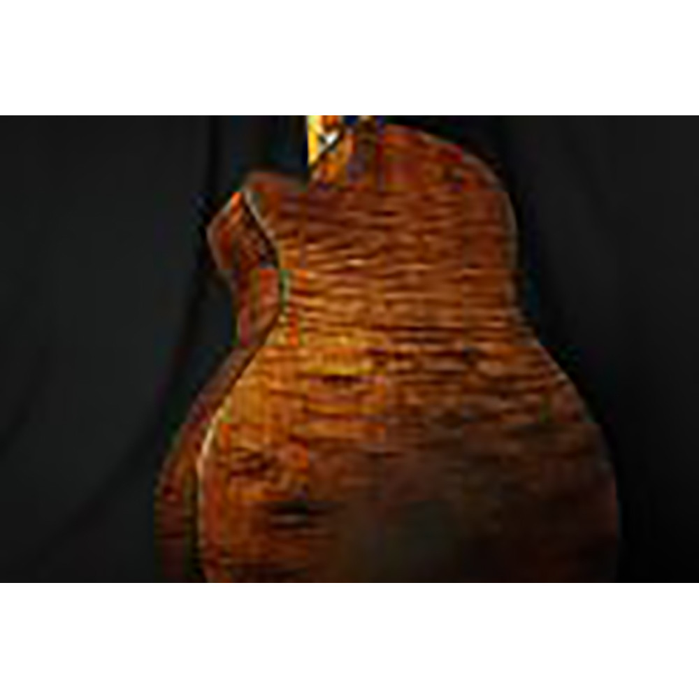 Ibanez AE325-LGS AE Body Natural Low Gloss Acoustic Guitar
