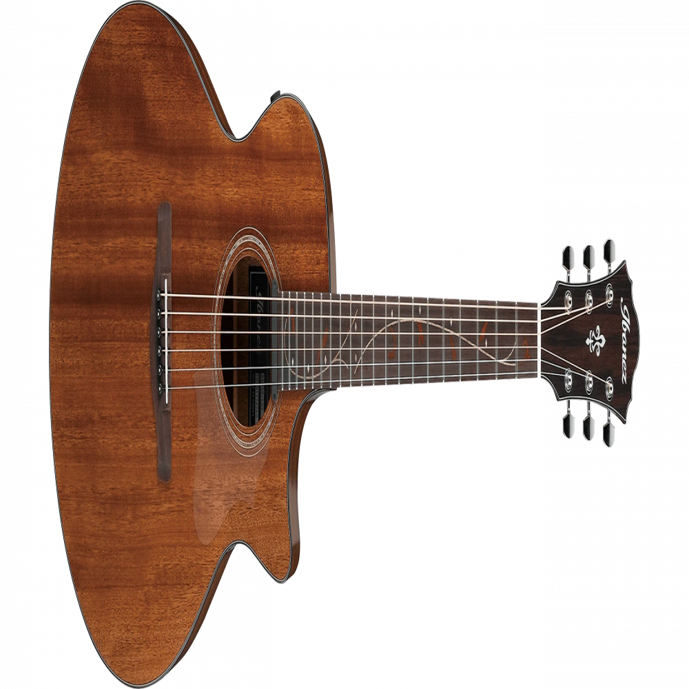 Ibanez AE295-LGS AE Body Natural Low Gloss Acoustic Guitar