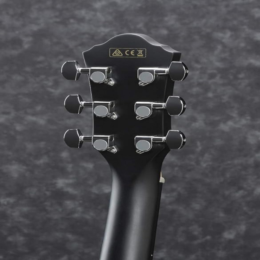 Ibanez AEG50-BK Black High Gloss Acoustic Electric Guitar