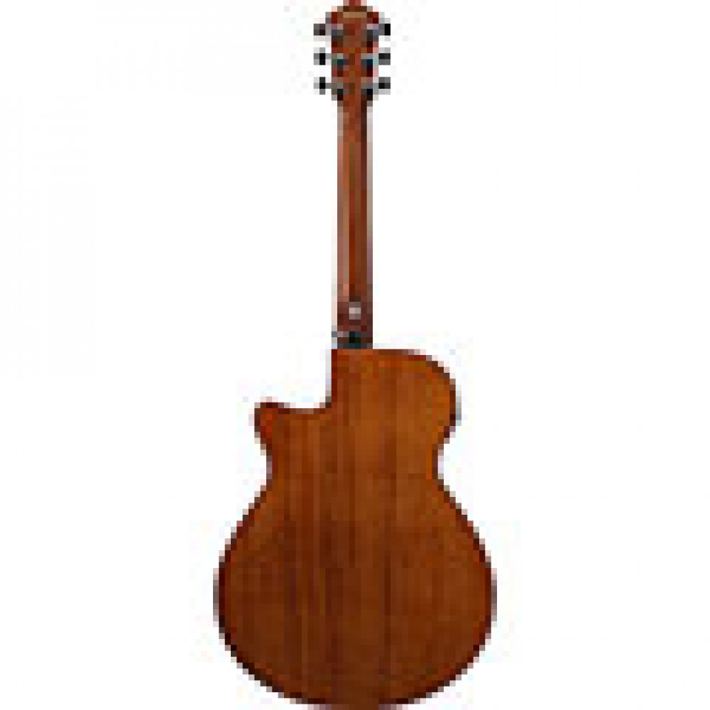 Ibanez AEG51-TRH Transparent Red Sunburst High Gloss Acoustic Guitar
