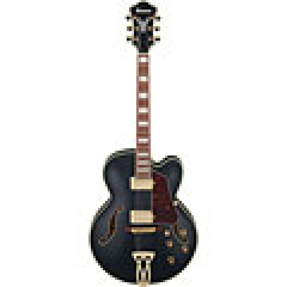 Ibanez AF75G-BKF Hollowbody AF Series Artcore Expressionist Expressionist Black Flat Electric Guitar