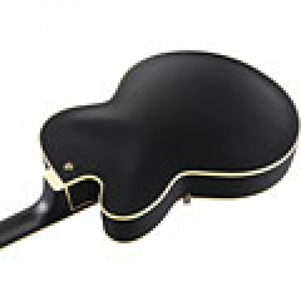 Ibanez AF75G-BKF Hollowbody AF Series Artcore Expressionist Expressionist Black Flat Electric Guitar