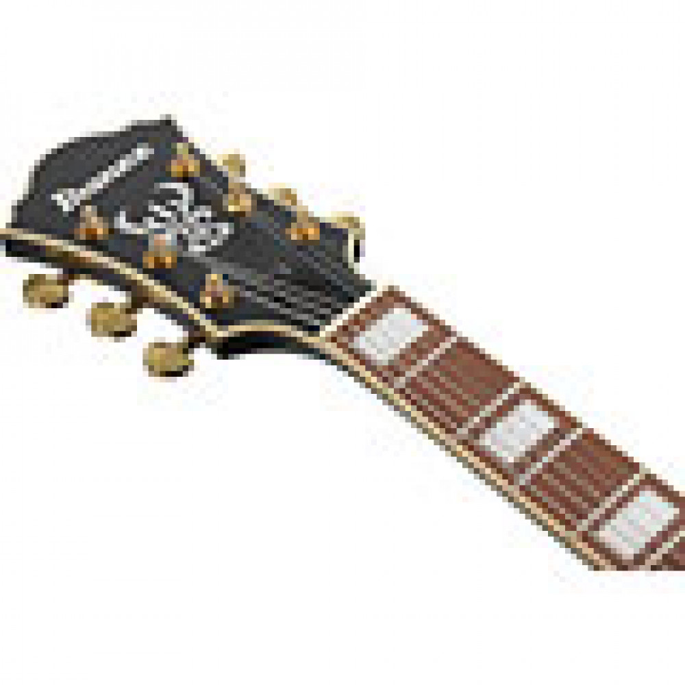 Ibanez AF75G-BKF Hollowbody AF Series Artcore Expressionist Expressionist Black Flat Electric Guitar