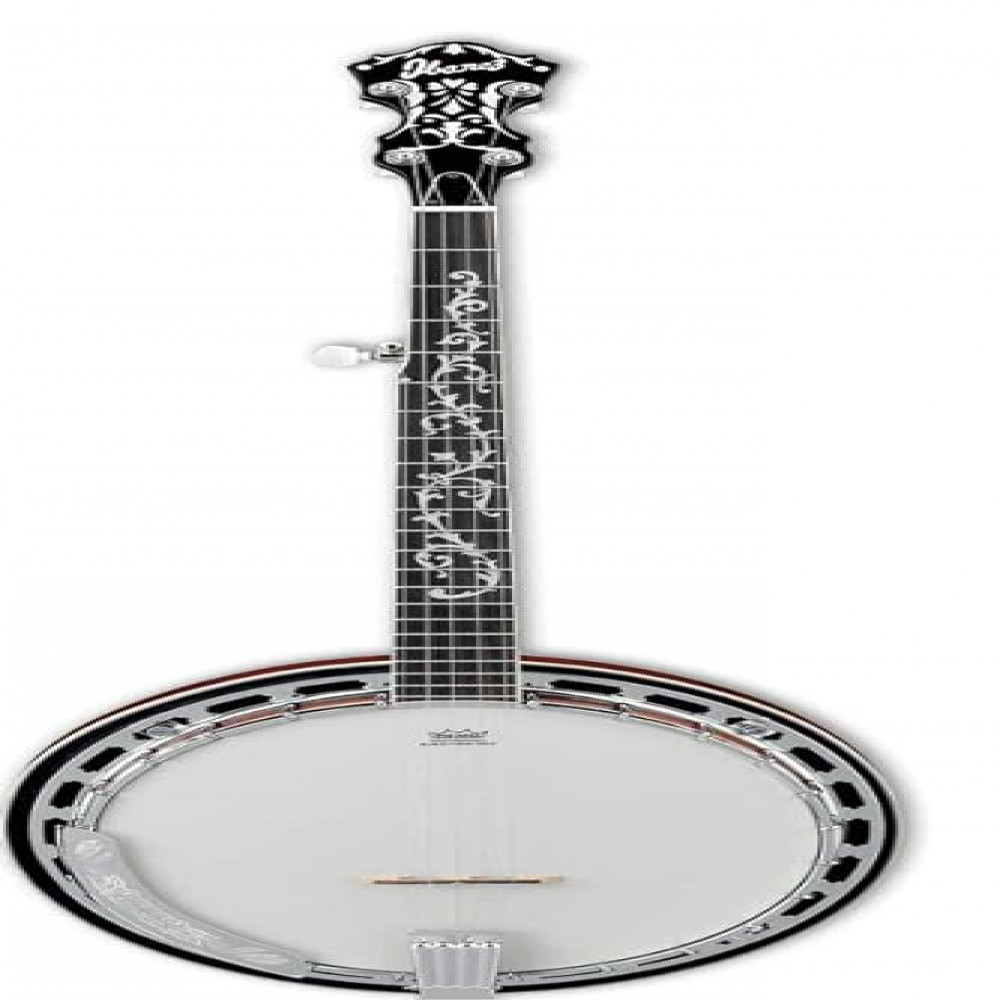 Ibanez B200 White-BlackPurpleheart fretboard Banjo