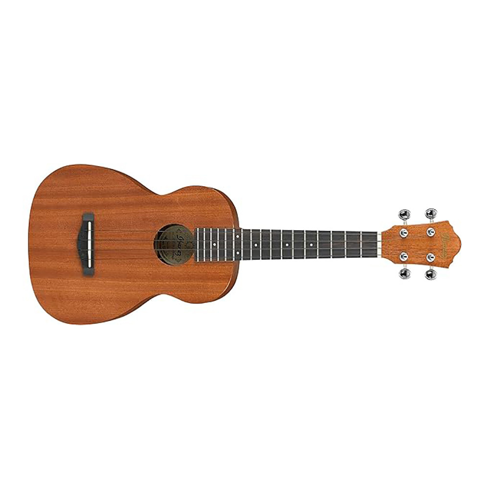 Ibanez UKC10 Concert with Gig Bag Natural Ukulele
