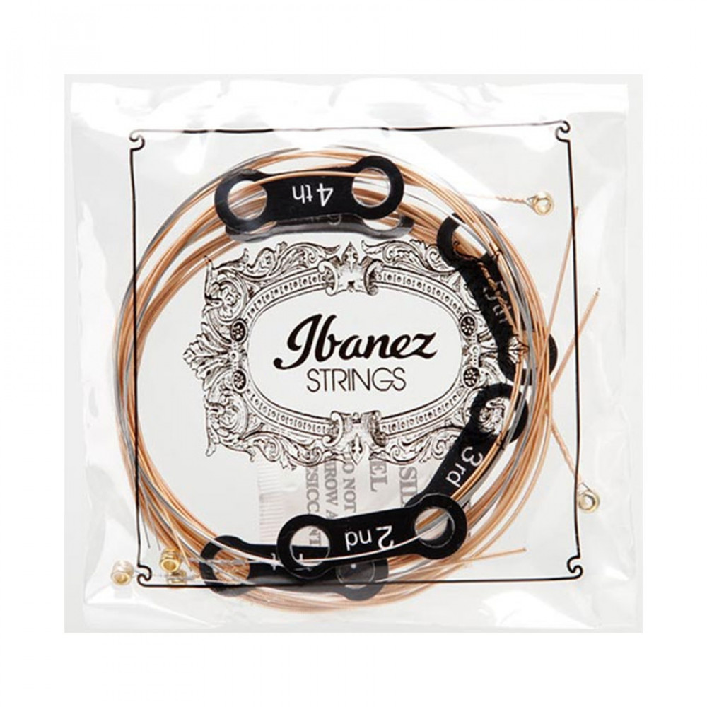 Ibanez IACSP61C Acoustic Guitar String Phosphor Bronze Wound 010-047