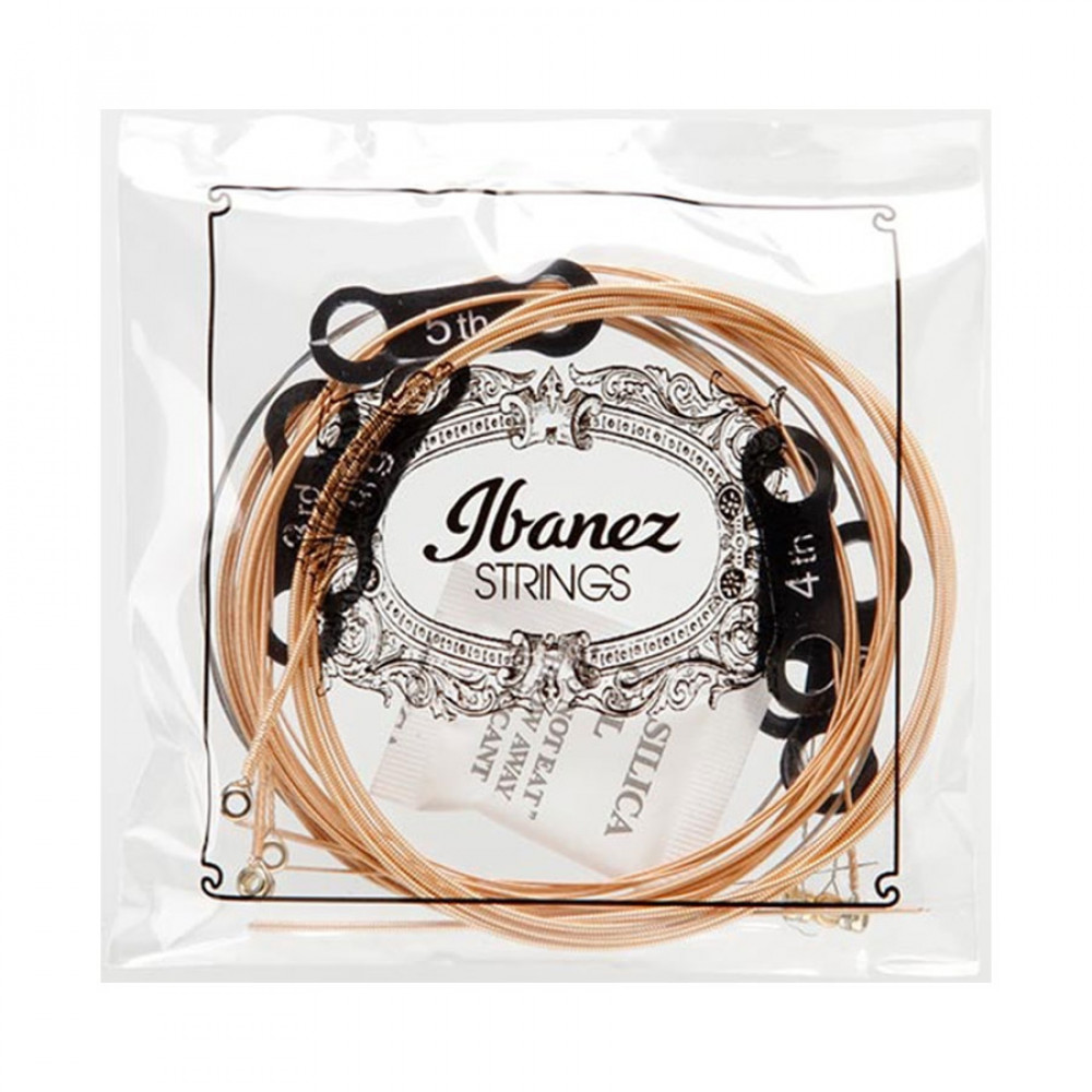 Ibanez IACSP62C Coated Acoustic Guitar String Phosphor Bronze Wound 011-052