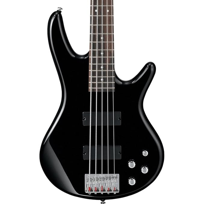 Ibanez GSR205 Maple Rosewood 5-String Bass Black Electric Bass Guitar