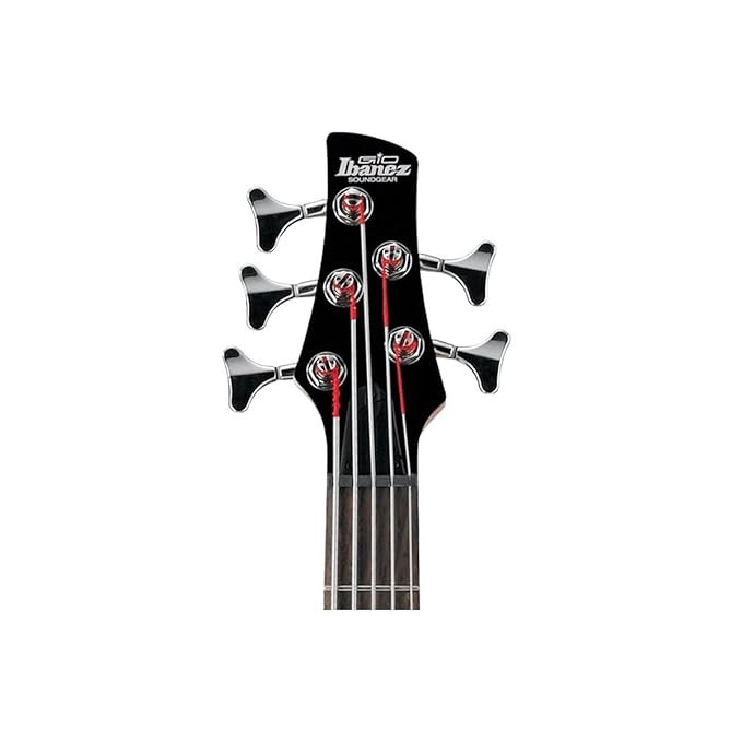 Ibanez GSR205 Maple Rosewood 5-String Bass Black Electric Bass Guitar
