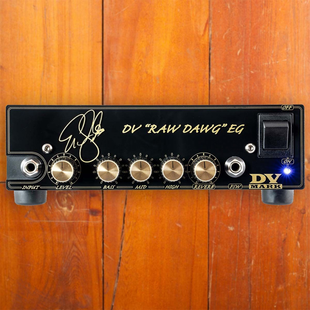 DV Mark DVH130049 Signature Series DV "RAW DAWG" EG 250 Watt Guitar Head