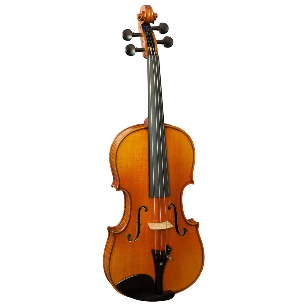 Hidersine 3194 Veracini Violin 4/4 Outfit