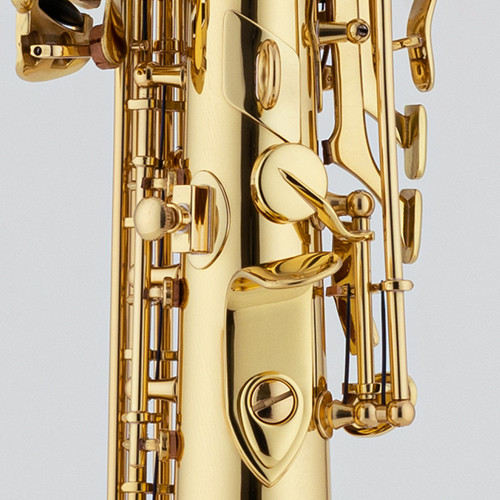 Chateau Soprano Saxaphone CSS 21L with hercules DS533BB